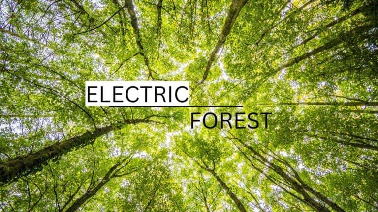 Electric Forest